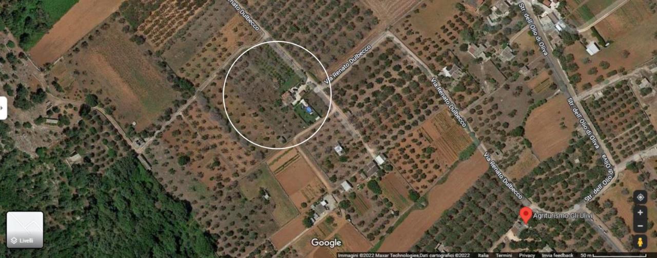 Villa Piana - Con Piscina E Giardino Privato Nel Salento Tricase Exterior photo